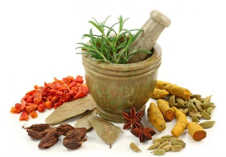  صدور مجوز تولید برای ۴ داروی گیاهی مؤثر در درمان کرونا/ ایران رتبه پنجم جهان در زمینه طب سنتی 