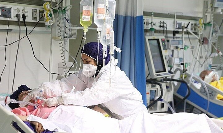 مردم با "مرگ بیماران کرونایی" تاوان مخالفت مسئولان با "طب سنتی" را پس می‌دهند!