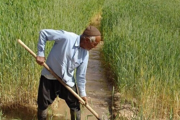 خبر خوش اقتصادی برای روستاییان و عشایر