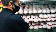 مرغ در بندرعباس هر کیلو 8500 تومان و در تهران هر کیلو 40 هزار تومان!