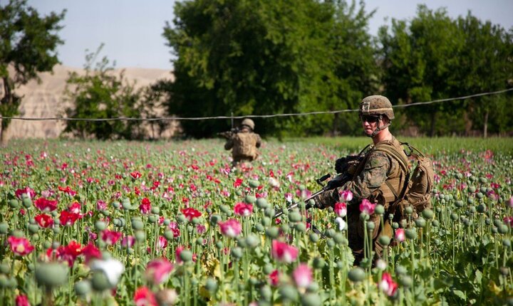 آینده تولید و تجارت مواد مخدر در دوره طالبان
