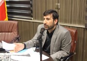 تایید واردات خودرو در شورای نگهبان