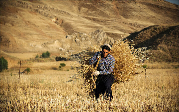 کشاورزی سپر بلای اقتصاد ایران در بحران تحریم