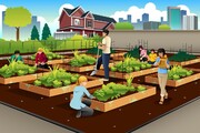 تأمین غذای شهرنشین دنیا با کشاورزی شهری/ نمونه های موفق کشاورزی شهری در دنیا کدامند؟