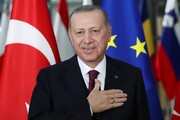 تقاضای اردوغان از حاکم امارات برای نجات لیر