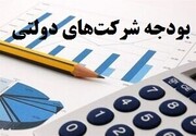 حاجی بابایی: عدد  و رقم عملکرد شرکتهای دولتی واقعی نیست
