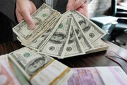 نوسانات نرخ ارز دلیل اقتصادی ندارد/ دلار به ۲۵ هزار تومان می‌رسد