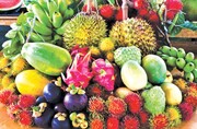 بی توجهی مسئولین به ظرفیت های تولید میوه های لوکس در ایران