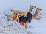دستکاری در اقلیم| کم آبی در ایران و بارش برف در بیابان‌های عربستان