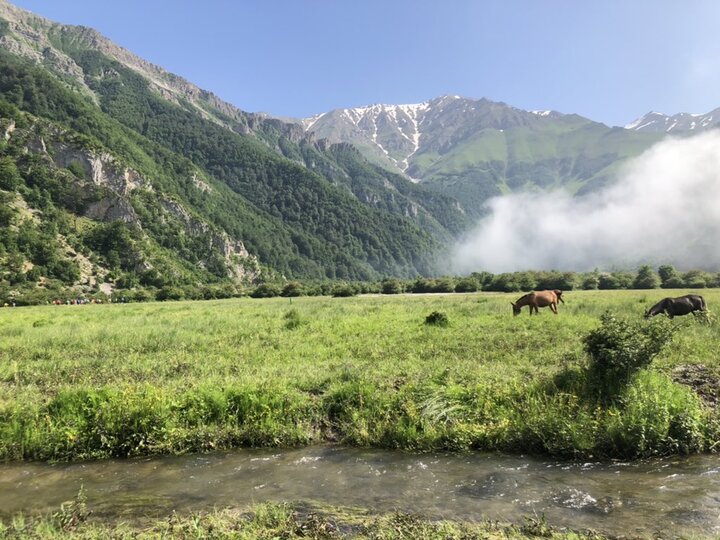 نمره قبولی آبخیزداری در کاهش خسارات سیل اخیر/ جمع آوری 3 سد امیرکبیر آب با آبخیزداری در سیل استان های جنوبی