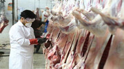 عرضه کنندگان گوشت؛ معاف از مالیات