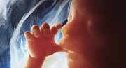 نوزادکشی در آمریکا قانونی می‌شود