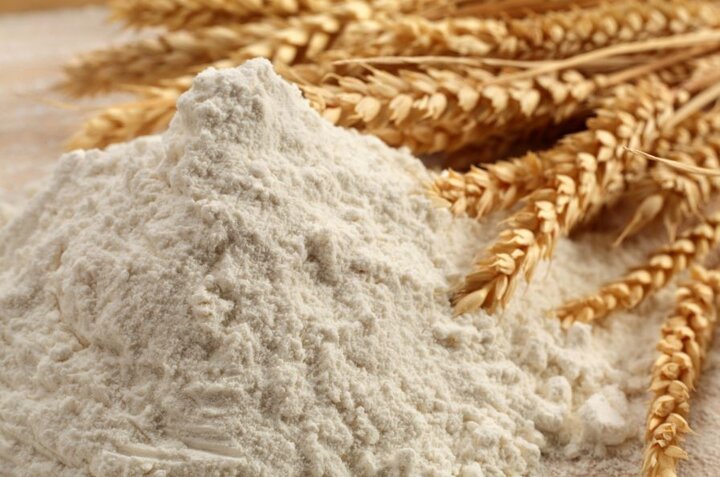 راز افزایش تولید گندم در ایران کشف شد!