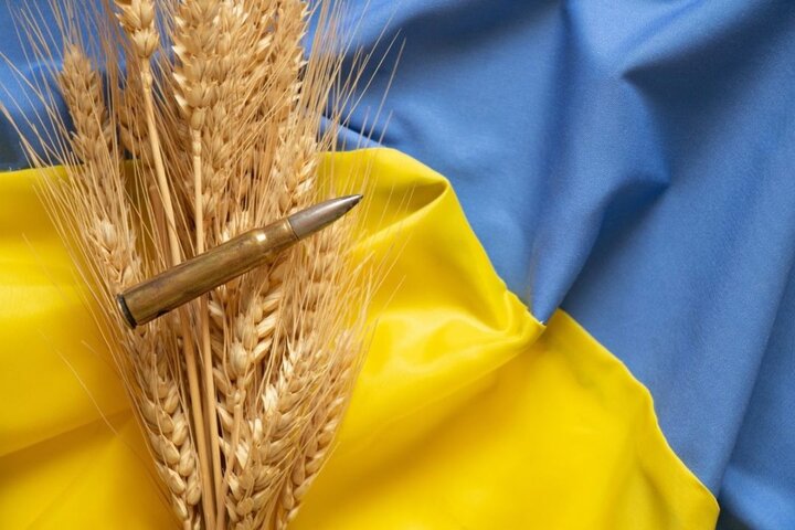 سهم اوکراین در گرانی مواد غذایی