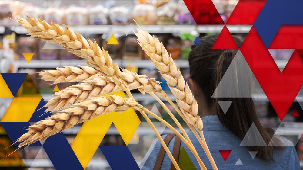 نقش اوکراین در تعمیق بحران غذایی در جهان