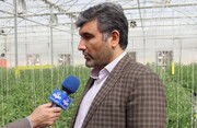 هلدینگ کشاورزی کوثر در عمان؛ از روسیه، سوریه و ونزوئلا چه خبر؟
