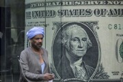 بانک های اماراتی دلیل افزایش قیمت دلار!