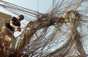 بحران کمبود برق در کشورهای عربی