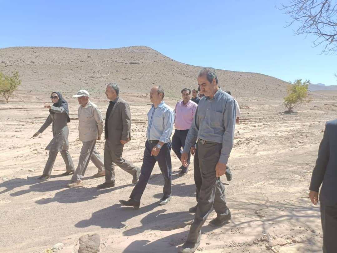 خسارت میلیاردی سیل به کشاورزی استان کرمان