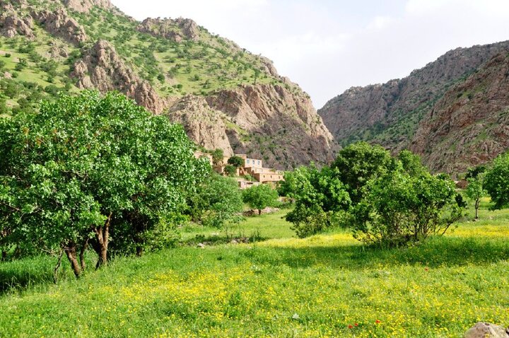 اثبات درستی تحلیل "تحریریه" از بازار خودرو و غلط بودن برآورد فاطمی امین و منوچهر منطقی اثبات درستی تحلیل "تحریریه" از بازار خودرو و غلط بودن برآورد فاطمی امین و منوچهر منطقی