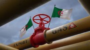 سرمایه گذاری گازی الجزایر