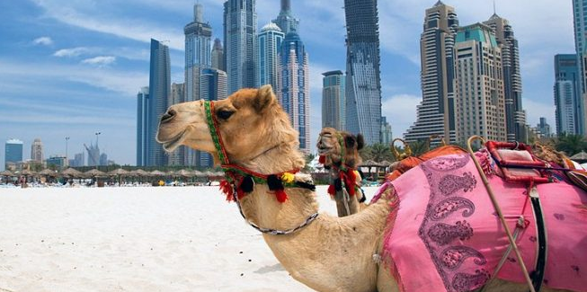 سهم امارات از کیک گردشگری جهان