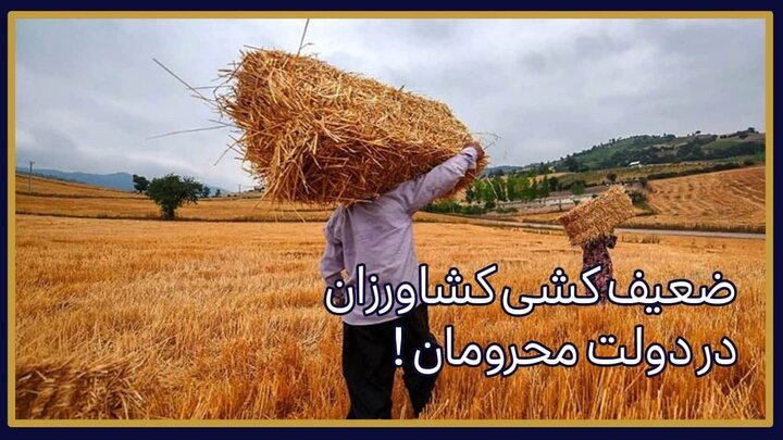 ضعیف کشی کشاورزان در دولت محرومان!