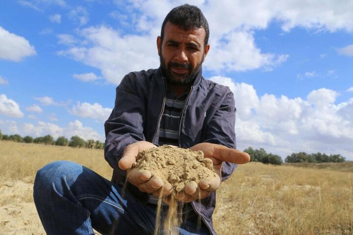 خشکسالی تهدیدی برای امنیت غذایی تونس 