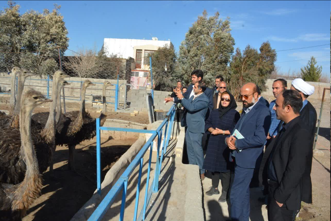 افتتاح ۴ طرح اشتغالزایی صندوق کارآفرینی امید در شهربابک