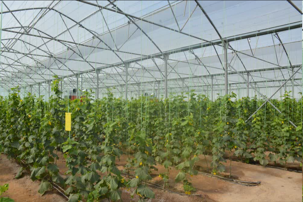 افتتاح چند طرح حوزه آموزش و پرورش و جهاد کشاورزی در شهربابک