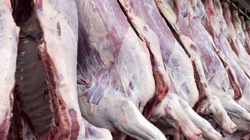 چرا قیمت گوشت باید گران شود؟