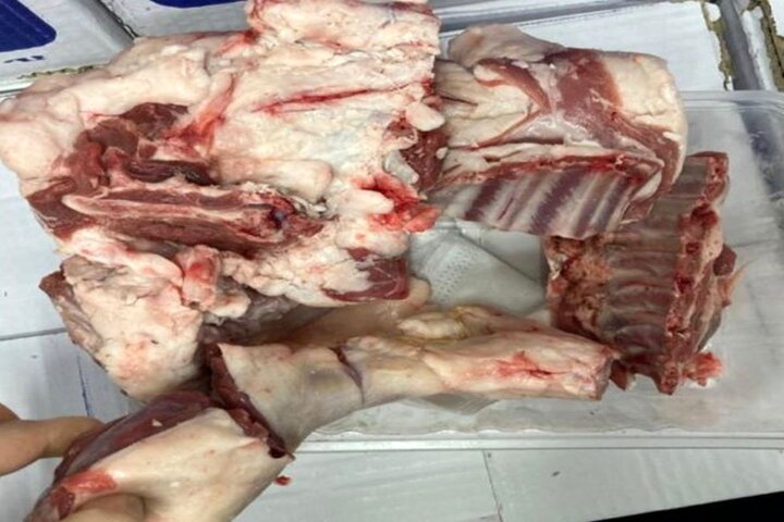 گوشتهای وارداتی بیکیفیت هستند گوشتهای وارداتی بیکیفیت هستند