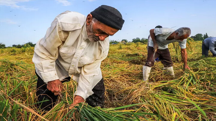 زورگویی جدید علیه کسانی که رسانه ندارند!