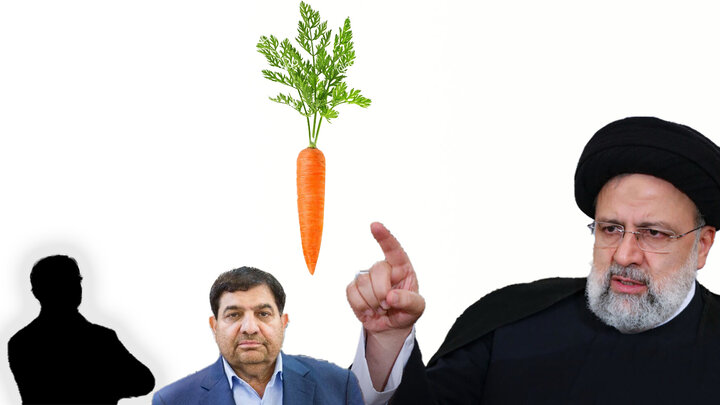 دولت هویج هست! مردم را فریب ندهید دولت هویج هست! مردم را فریب ندهید