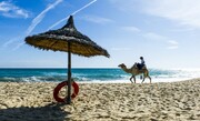 افزایش درآمدهای تونس در حوزه گردشگری
