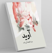 رمان "آوید" به قلم جواد قلعه تکیزاده منتشر می شود