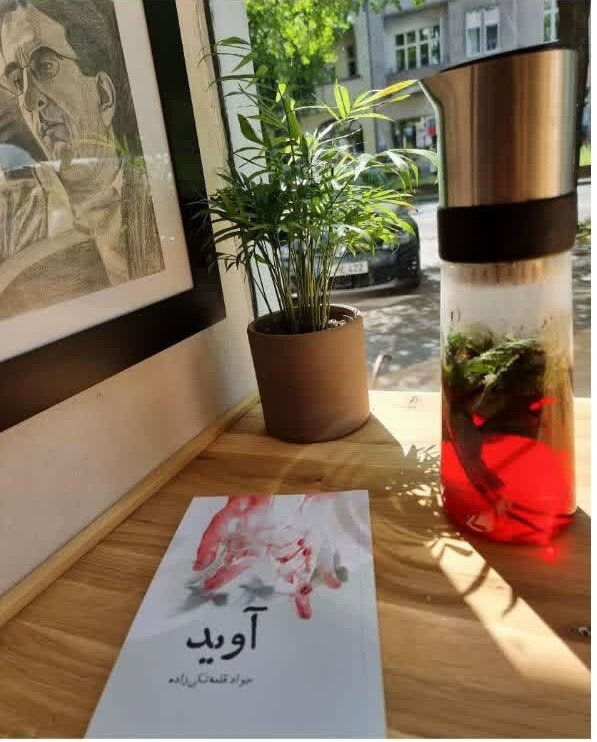 رمان "آوید" به قلم جواد قلعه تکیزاده منتشر می شود