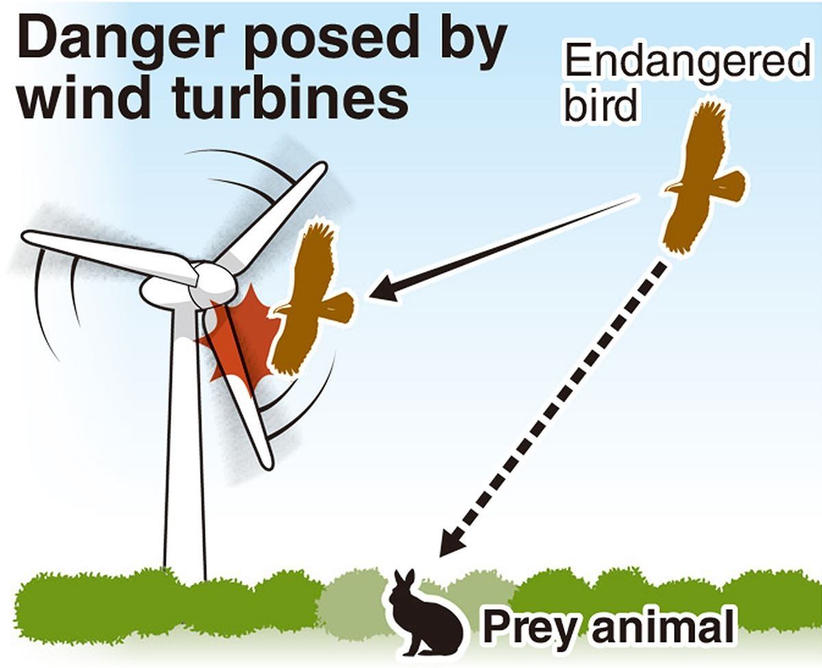 کربنزدایی یا حفاظت از حیوانات؟!