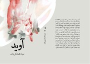 رمان جسورانه جواد تکیزاده درباره سرنوشت ایرانیان مهاجر به غرب منتشر شد