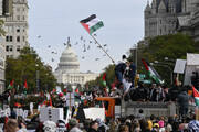 جوانان آمریکا، طرفدار حماس و علیه اسرائیل