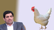 دستاورد جدید مرغی دولت!
