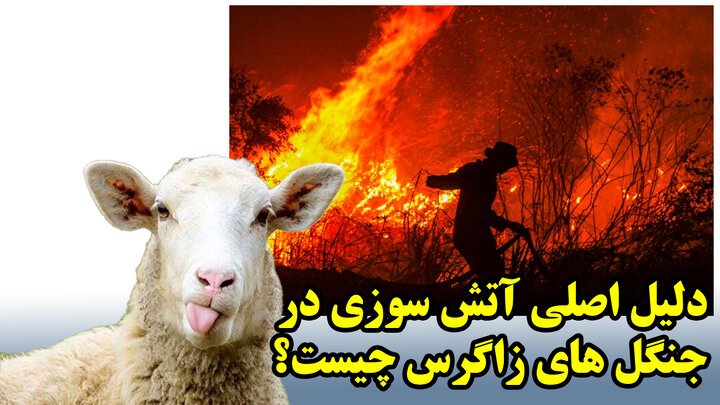 دلیل اصلی آتش سوزی در جنگل های زاگرس چیست؟ دلیل اصلی آتش سوزی در جنگل های زاگرس چیست؟