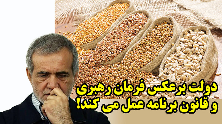 دولت برعکس فرمان رهبری و قانون برنامه عمل می کند!