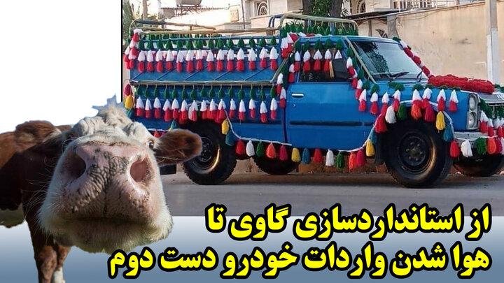 از استانداردسازی گاوی تا هوا شدن واردات خودرو دست دوم از استانداردسازی گاوی تا هوا شدن واردات خودرو دست دوم
