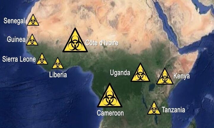 فعالیتهای نظامی-بیولوژیک آمریکا در قاره سیاه؛ از اهداف اعلانی تا سیاستهای پنهانی فعالیتهای نظامی-بیولوژیک آمریکا در قاره سیاه؛ از اهداف اعلانی تا سیاستهای پنهانی