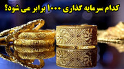 کدام سرمایه گذاری 1000 برابر می شود؟