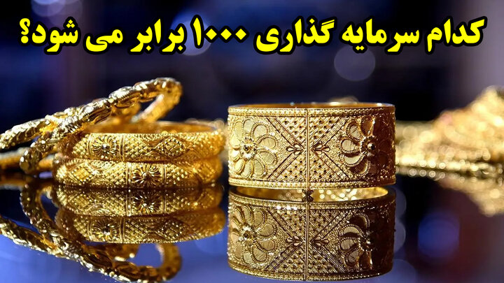 کدام سرمایه گذاری 1000 برابر می شود؟ کدام سرمایه گذاری 1000 برابر می شود؟