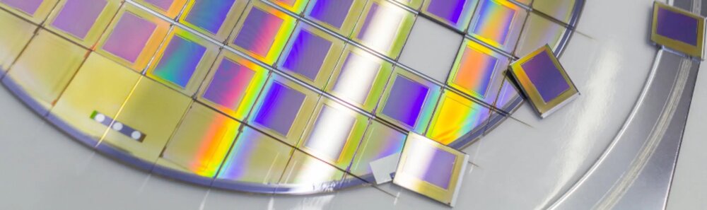 هلند در دام تصمیمات واشنگتن؛ از «متحد آمریکا» به «مهره سوخته»