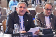 بازنگری منشور و کارآمدسازی سازمان ملل با دیپلماسی فعال پارلمانی